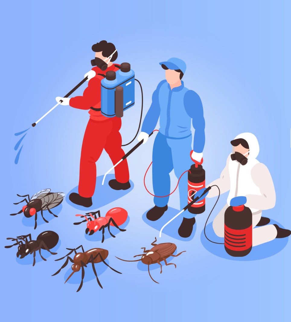 Pest control service providers in Muscat Oman